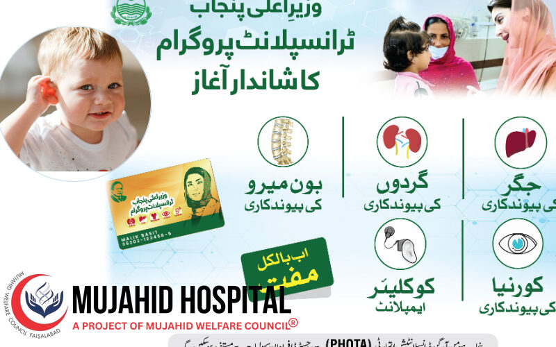 Transplantprogram 800x500