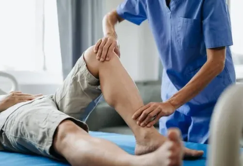 Physiotherapists
